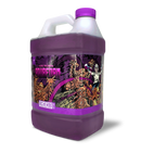 AquaFoam : Intense Foam Shampoo-2