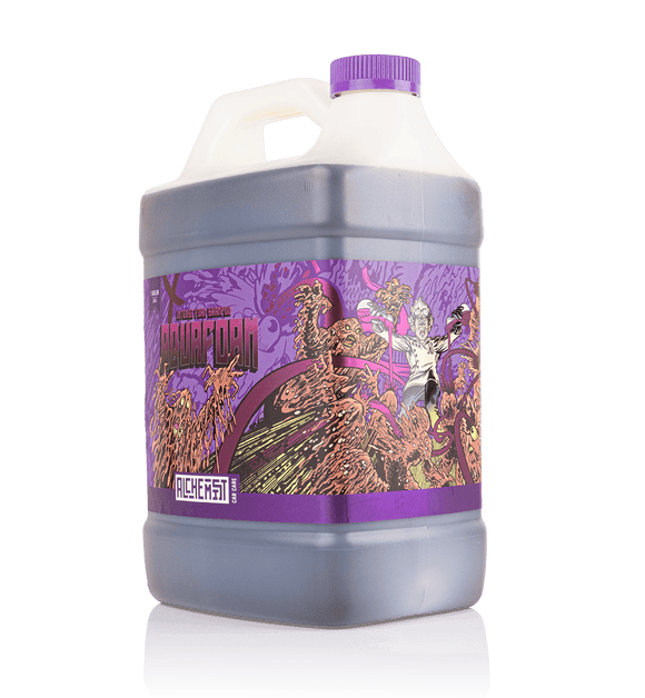 AquaFoam Intense Foam Shampoo